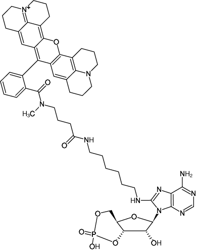 Structural formula of 8-(6-Aminohexyl)-amino-cAMP-ATTO-Rho101 (8-(6-Aminohexyl)-amino-adenosine-3',5'-cyclic monophosphate, labeled with ATTO Rho101, Triethylammonium salt)