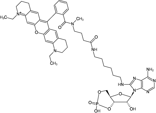 Structural formula of 8-(6-Aminohexyl)-amino-cAMP-ATTO-Rho11 (8-(6-Aminohexyl)-amino-adenosine-3',5'-cyclic monophosphate, labeled with ATTO Rho11, Triethylammonium salt)