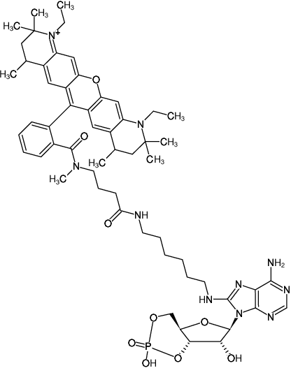 Structural formula of 8-(6-Aminohexyl)-amino-cAMP-ATTO-Rho12 (8-(6-Aminohexyl)-amino-adenosine-3',5'-cyclic monophosphate, labeled with ATTO Rho12, Triethylammonium salt)