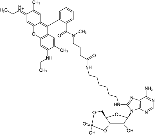 Structural formula of 8-(6-Aminohexyl)-amino-cAMP-ATTO-Rho6G (8-(6-Aminohexyl)-amino-adenosine-3',5'-cyclic monophosphate, labeled with ATTO Rho6G, Triethylammonium salt)