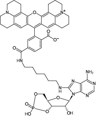 Structural formula of 8-(6-Aminohexyl)-amino-cAMP-6-ROX (8-(6-Aminohexyl)-amino-adenosine-3',5'-cyclic monophosphate, labeled with 6-ROX, Triethylammonium salt)