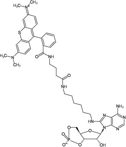 Structural formula of 8-(6-Aminohexyl)-amino-cAMP-ATTO-Thio12 (8-(6-Aminohexyl)-amino-adenosine-3',5'-cyclic monophosphate, labeled with ATTO Thio12)