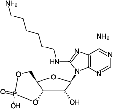 Structural formula of 8-(6-Aminohexyl)-amino-cAMP (8-(6-Aminohexyl)-amino-adenosine-3',5'-cyclic monophosphate, Sodium salt)
