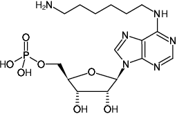 Structural formula of N6-(6-Aminohexyl)-AMP (N6-(6-Aminohexyl)-adenosine-5'-monophosphate, Sodium salt)