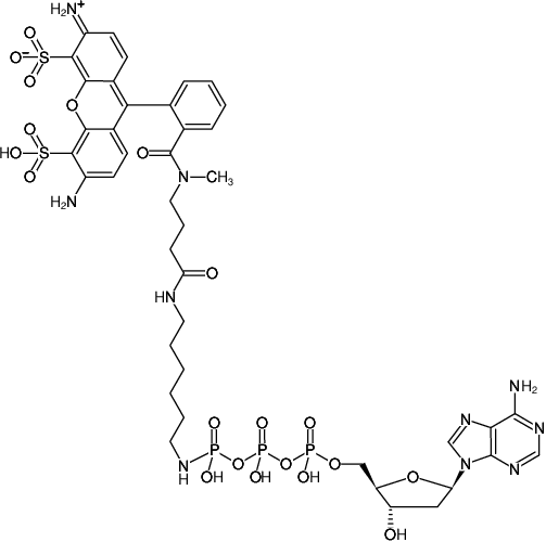 Structural formula of γ-[(6-Aminohexyl)-imido]-dATP-ATTO-488 (γ-[(6-Aminohexyl)-imido]-2'-deoxyadenosine-5'-triphosphate, labeled with ATTO-488, Triethylammonium salt)