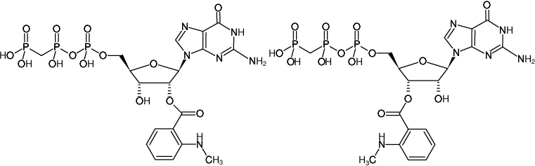 Structural formula of Mant-GppCp ((Mant-GMPPCP), 2'/3'-O-(N-Methyl-anthraniloyl)-guanosine-5'-[(β,γ)-methyleno]triphosphate, Sodium salt)