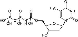 Structural formula of dTpNHpp ((dTMPNPP), 2'-Deoxythymidine-5'-[(α,β)-imido]triphosphate, Sodium salt)