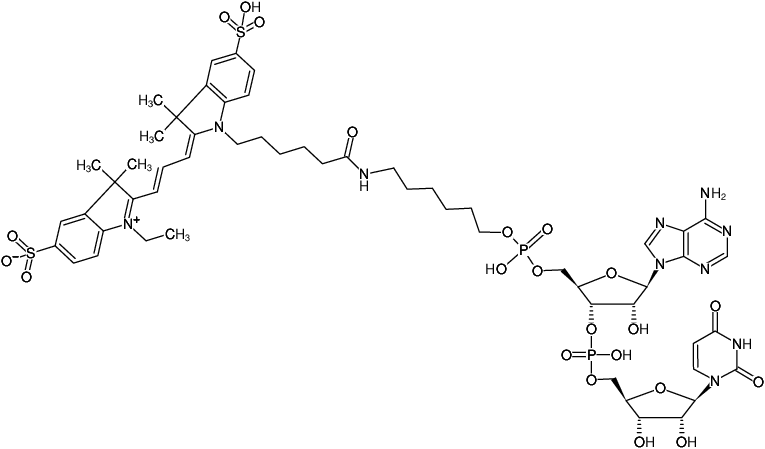 Structural formula of 5'-Cy3-ApU (Triethylammonium salt)