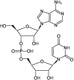 Structural formula of ApU (RNA Dinucleotide (5'→3'), Sodium salt)