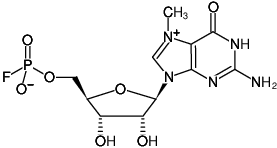 Structural formula of m7GMP-α-F ((m7GpF), 7-Methyl-guanosine-5'-(α-fluoro)-monophosphate)