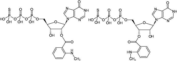 Structural formula of Mant-ITPγS (2'/3'-O-(N-Methyl-anthraniloyl)-inosine-5'-(γ-thio)-triphosphate, Triethylammonium salt)