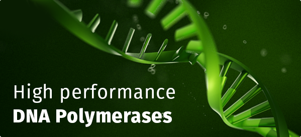 High performance DNA Polymerases