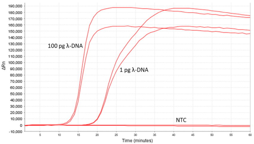 Figure 1: Rapid isothermal amplification of λ target DNA (100 pg, 1 pg template, NTC: no template control)