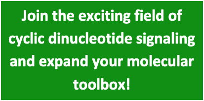 Join the exciting field of cyclic dinucleotide signaling and expand your molecular toolbox!