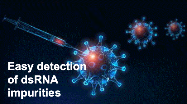 Easy detection of dsRNA impurities