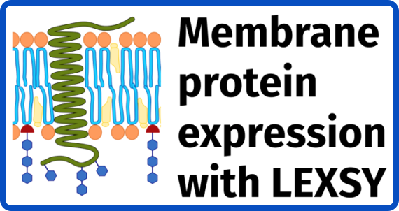 Membrane Protein Expression with LEXSY