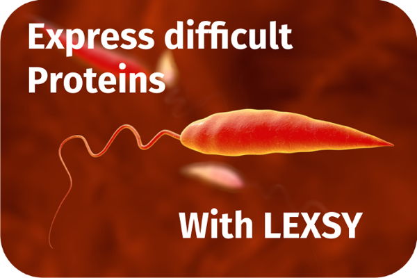 Express difficult proteins with LEXSY