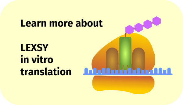 Learn more about LEXSY in vitro translation