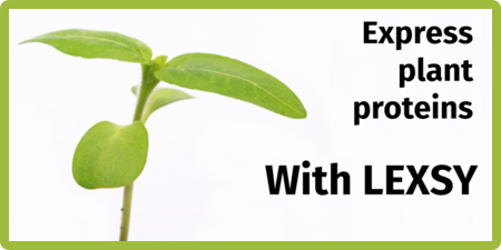 Express Plant Proteins with LEXSY