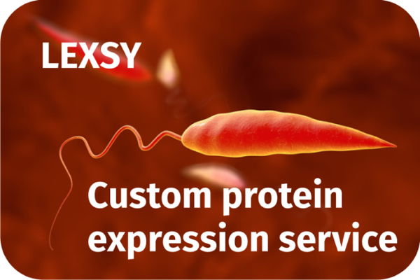 LEXSY - Custom protein expression service