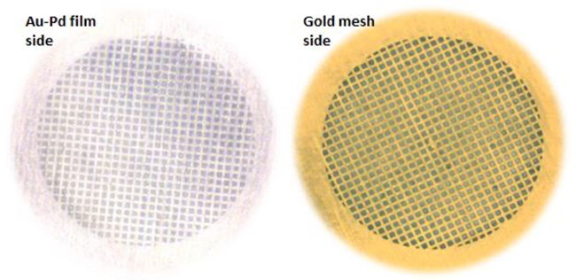 Figure 2: The lighter color of the Au-Pd film (left) compared to the underlying gold mesh grid (right) allows for easy identification of the film side during sample preparation.