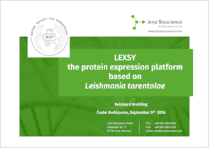 Preview LEXSY talk at BSP Meeting 2016
