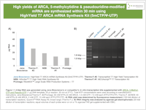 Preview  ARCA-, 5-methylcytidine- & pseudouridine-based mRNA Synthesis Kits